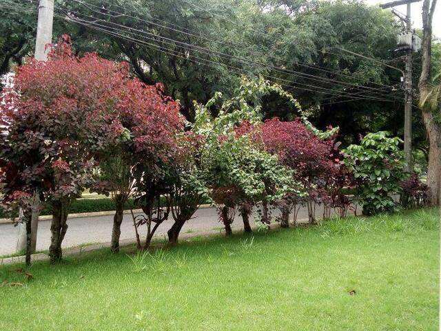 Casa para Venda em Barueri - 5