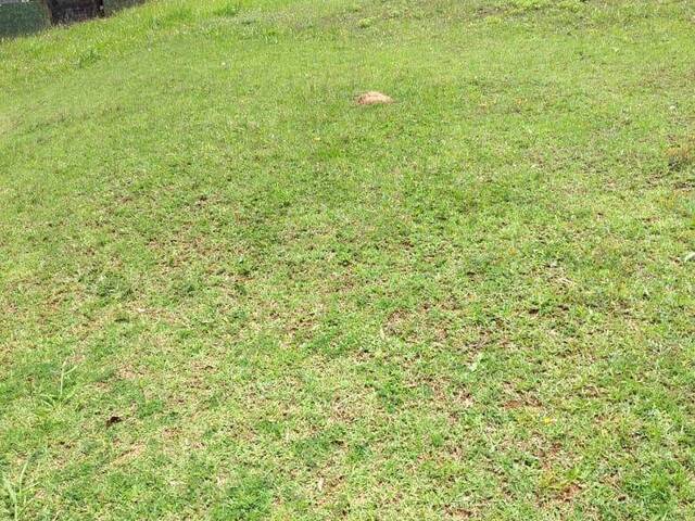 Terreno para Venda em Santana de Parnaíba - 3