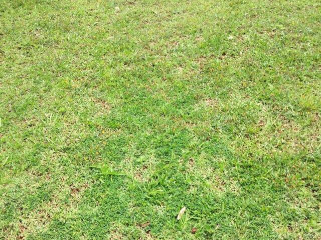 Terreno para Venda em Santana de Parnaíba - 5