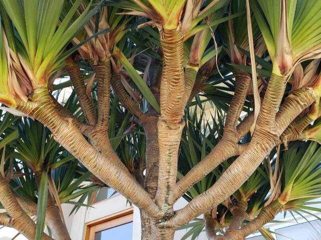 Casa para Venda em Santana de Parnaíba - 2