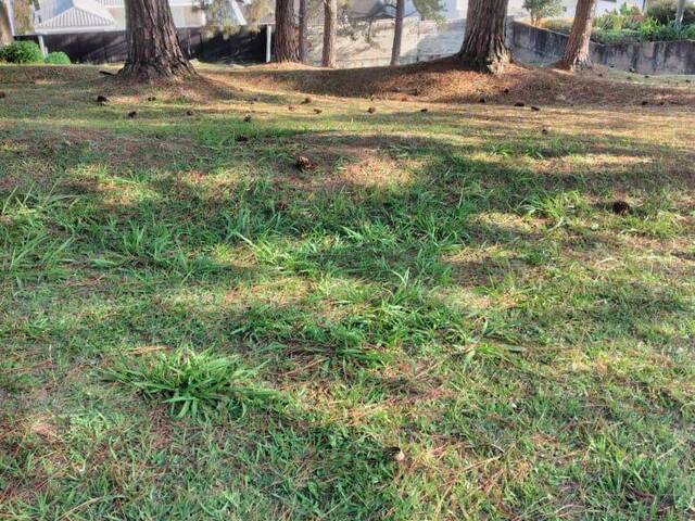 #TE0285 - Terreno para Venda em Santana de Parnaíba - SP