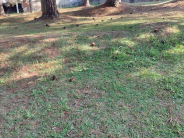 Terreno para Venda em Santana de Parnaíba - 5