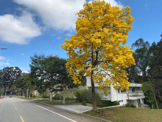 Casa para Locação em Barueri - 3