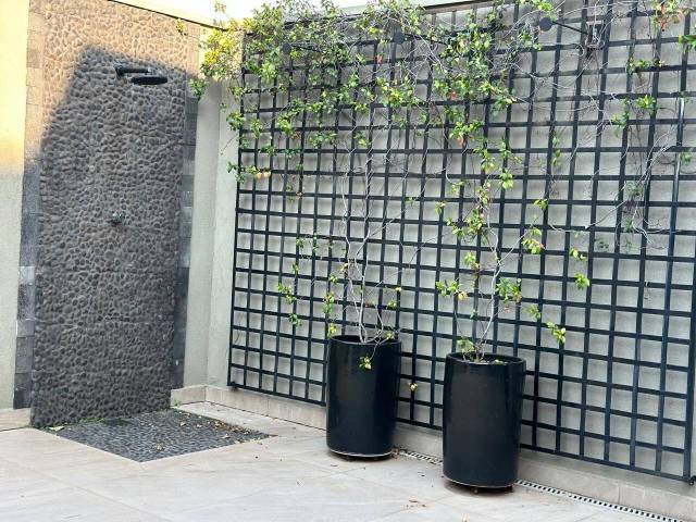 Casa para Locação em Santana de Parnaíba - 4