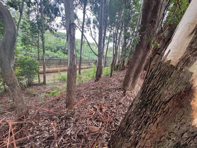 #TE0362 - Terreno para Venda em Barueri - SP
